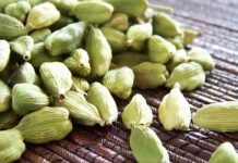 elaichi-benefits-in-hindi-this-is-how-cardamom-controls-your-weight-know-benefits