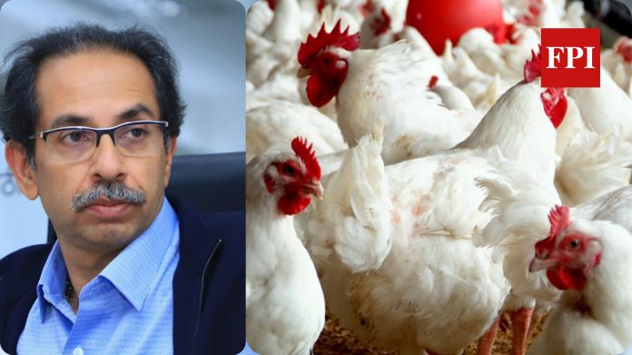 bird-flu-800-chicken-died-in-parbhani-maharashtra-cm-uddhv-thackeray