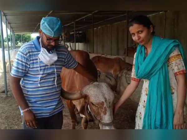 leaving-americas-job-ankita-started-dairy-farming-business-with-father-today-9-million-turnover-annually- ajmer-rajasthan-news-update