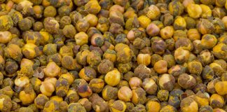 health-know-great-health-benefits-to-include-chana-in-your-diet-update