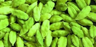 Benefits of eating cardamom: It is not just aromatic but also highly beneficial for health; why is it so expensive?