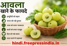 amla-khane-ke-fayde